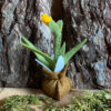 Narcisbolletje-met-knop-3-Narcis-lentebode-lente-voorjaar-bolletje-voorjaarsbollen