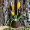 Krokus-in-knop-geel-2-voorjaar-lente-lentetafel-bolletje-voorjaarsbloem-vilt