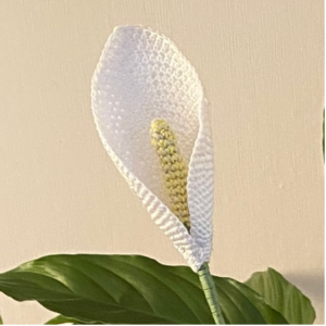 1-Vredeslelie- Spathiphyllum- gehaakte bloem- kamerplant-