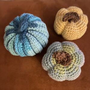 Grote Pompoen-pompoentje-gehaaktpompoentje-herfst-herfsttafel.JPG.JPG