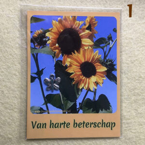 Kaartje-1-beterschap-bedeltje-vader-teksten-universum-cadeautje-spreuk