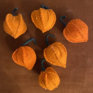 Lampionnetje- herfsttafel-herfst-jodenkers